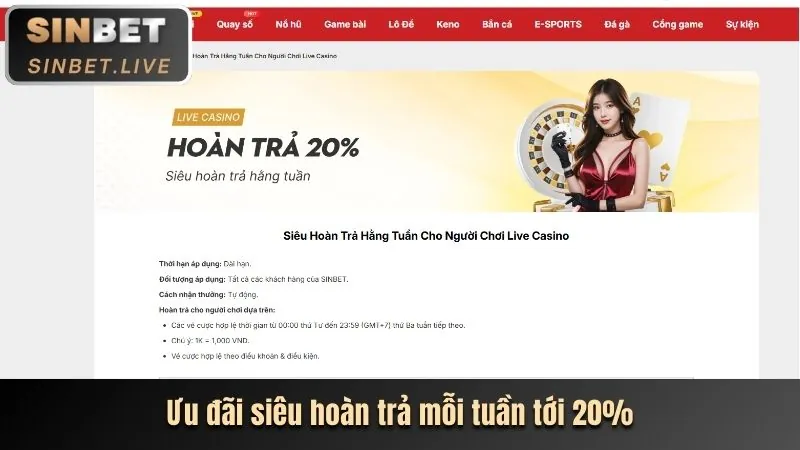 Chương trình hoàn trả DO666